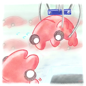 アノマロカリスUFOキャッチャーのイラスト