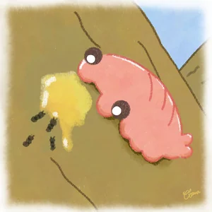 樹上性のアノマロカリスのイラスト