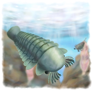 サンクタカリスのイラスト