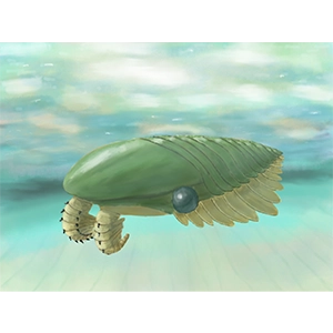 ペイトイアのイラスト