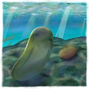 ハルキゲニアとオパビニアのイラスト