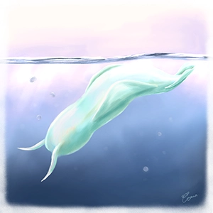 アミスクウィアのイラスト