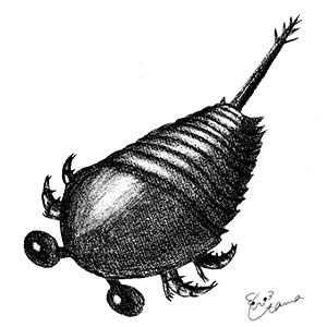 サロトロセルクスの鉛筆イラスト