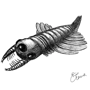 モスラの鉛筆イラスト