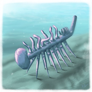 カンブリア紀をモチーフにした古生物イラスト