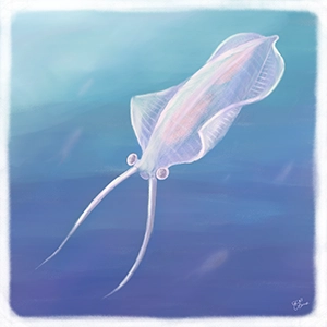 太古の海を表現した古生物イラスト